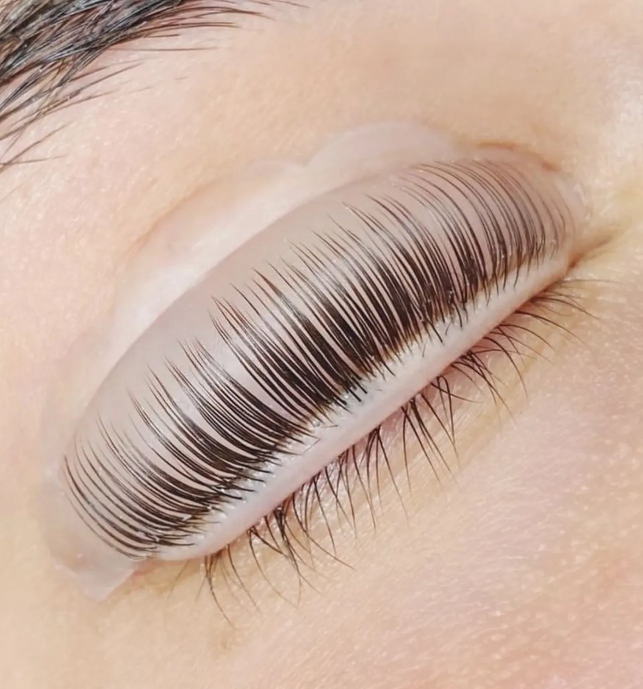 Teinture et rehaussement de cils en gros plan